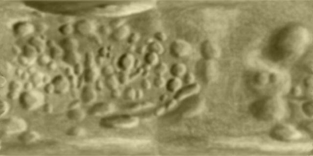 Janus texture map