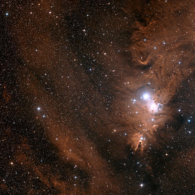 Christmas Tree Cluster + Cone Nebula nebula cluster
