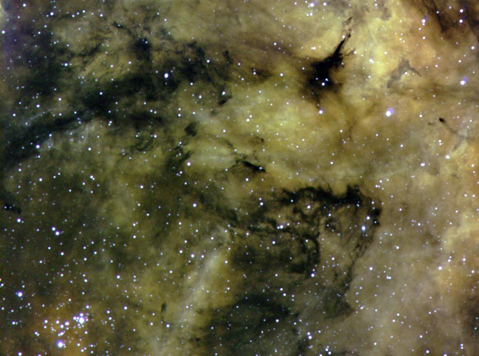 IC 1318 nebula
