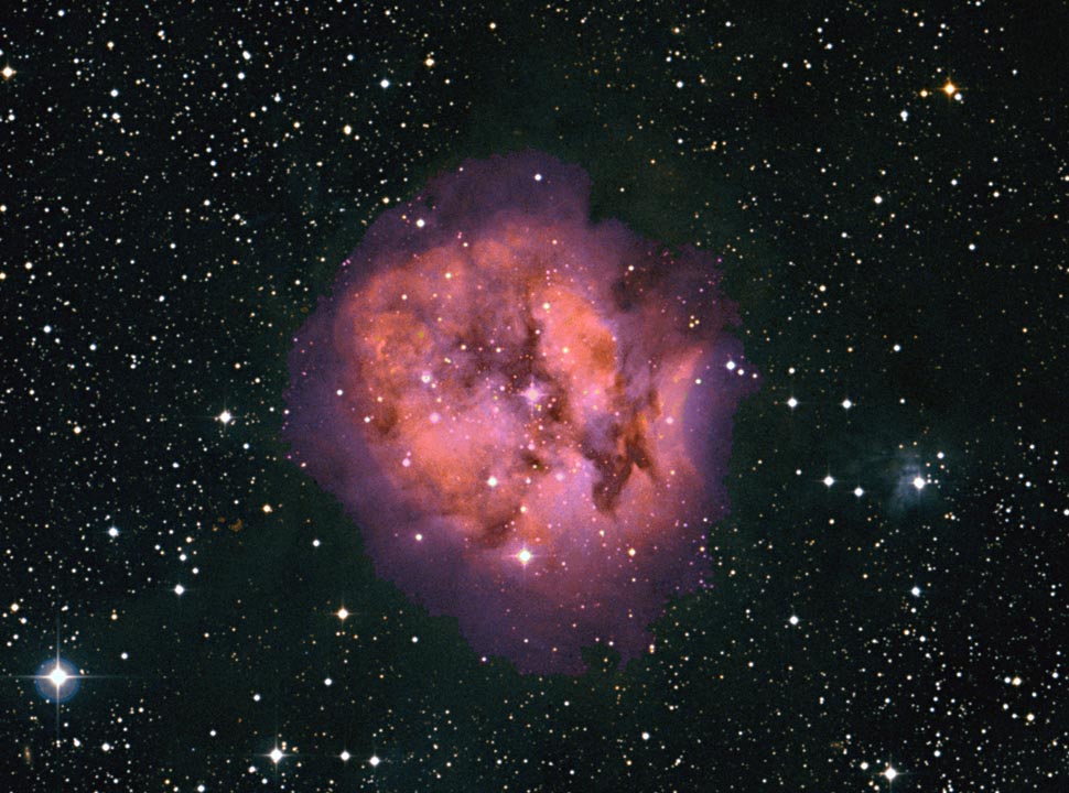 IC 5146, Cocoon Nebula nebula