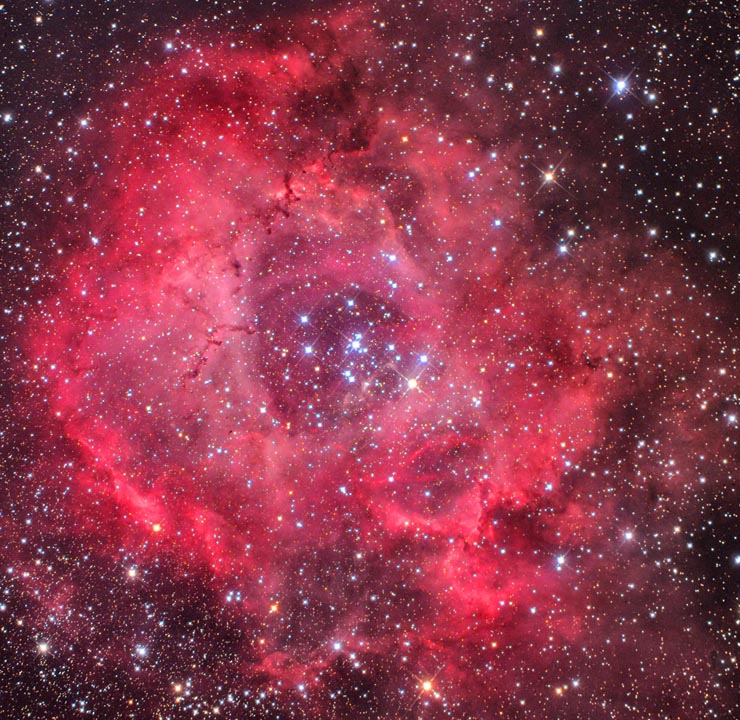 Rosette Nebula nebula cluster