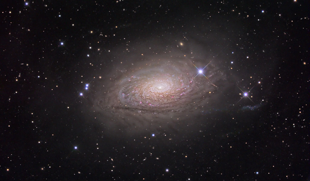 NGC 5055, M63 galaxy