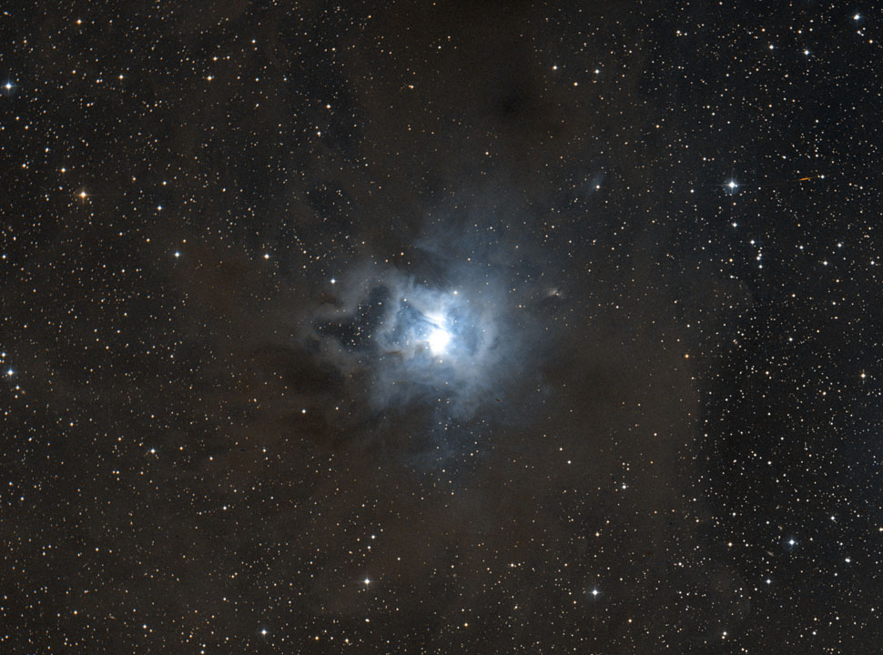 NGC 7023, The Iris Nebula nebula