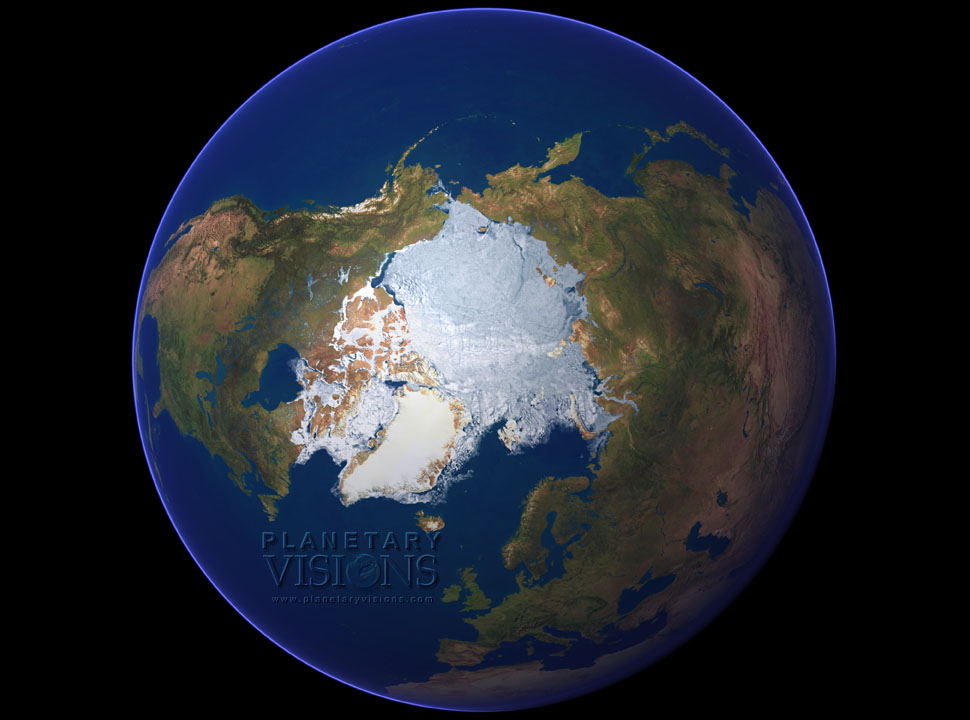 North polar view